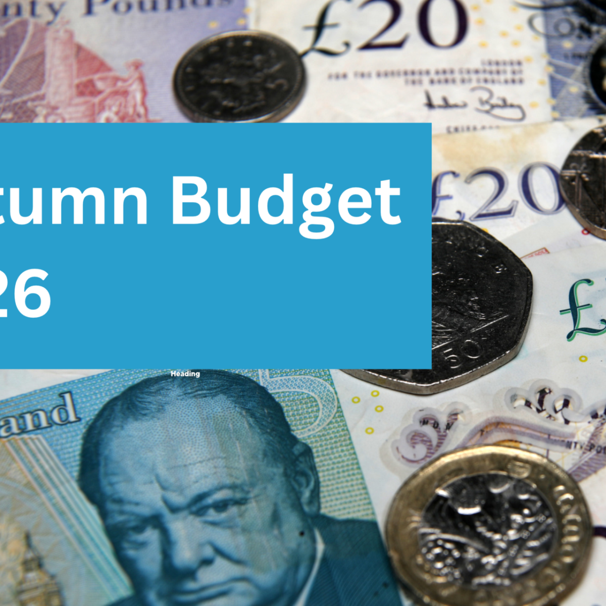 napb banner budget